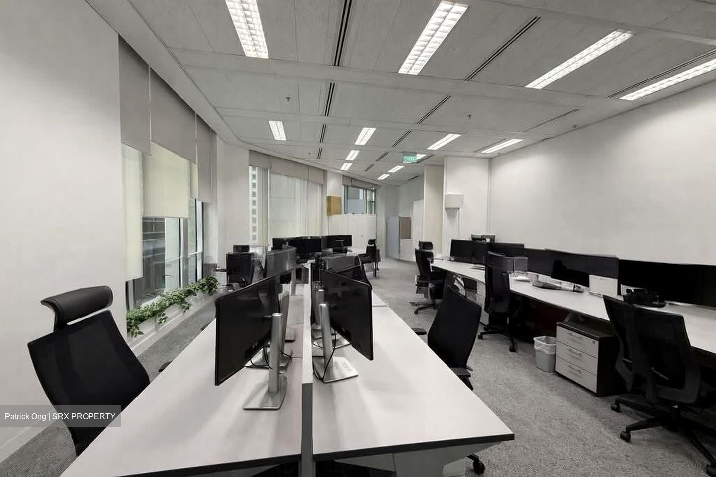 Robinson Centre (D1), Office #559030031